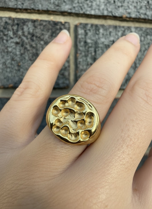 Unearthed XL Signet Ring (Size M)